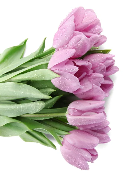 Beautiful bouquet of purple tulips, isolated on white — Stock Photo, Image