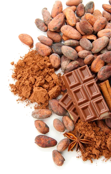 Csokoládé édességek, kakaó és fűszer, elszigetelt fehér összetétele — Stock Fotó