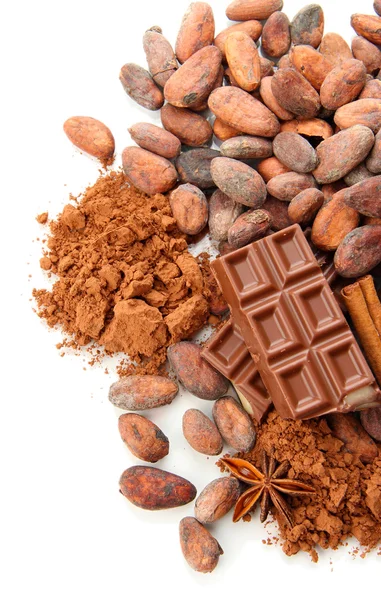 Composizione di caramelle al cioccolato, cacao e spezie, isolate su bianco — Foto Stock