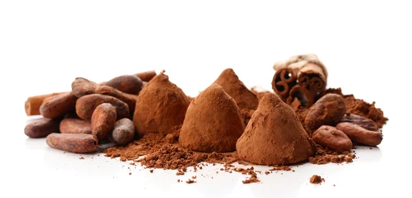 Chocolade truffels, cacao en specerijen geïsoleerd op wit — Stockfoto