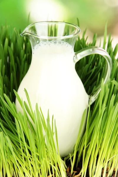 Glass pitcher of milk standing on grass close up — Stock Photo, Image