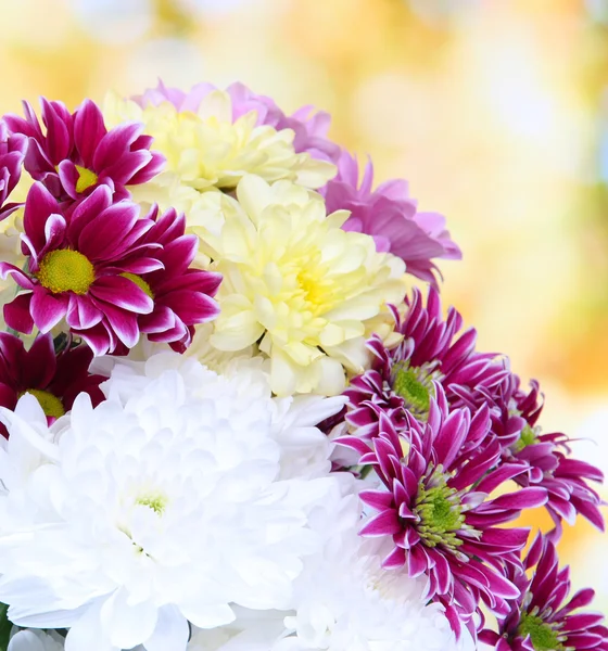 Bouquet de beaux chrysanthèmes sur fond lumineux — Photo