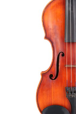 beyaz izole klasik keman