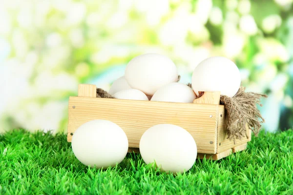 Muitos ovos na caixa na grama no fundo brilhante — Fotografia de Stock