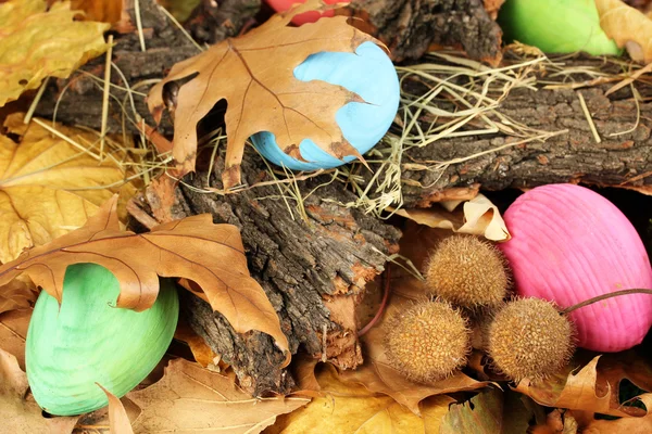 Easter eggs hidden in leaves — Stock fotografie