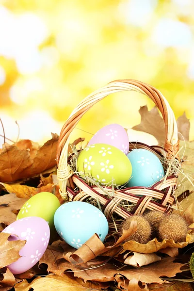 Пасхальные яйца в плетеной корзине, спрятанной в листьях — стоковое фото