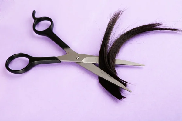 Pedaços de cabelo cortados com tesoura em fundo roxo — Fotografia de Stock