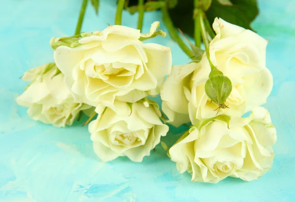 Schöne weiße Rosen in Nahaufnahme, auf farbigem Hintergrund — Stockfoto