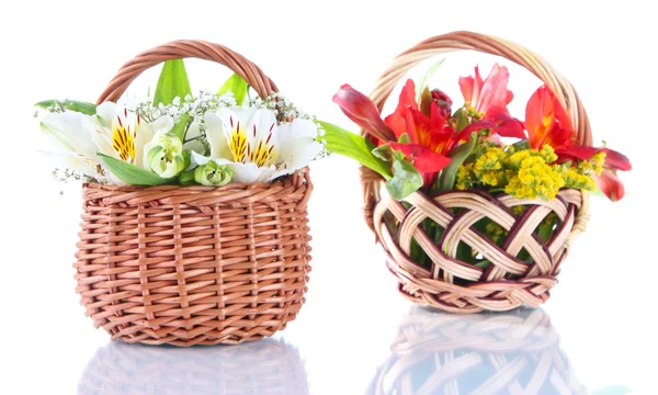 Two baskets freesia isolated on white — Stock Photo, Image