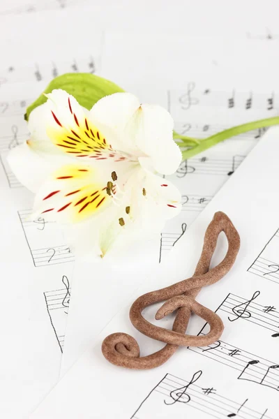 高音谱号和音乐背景上的花 — 图库照片