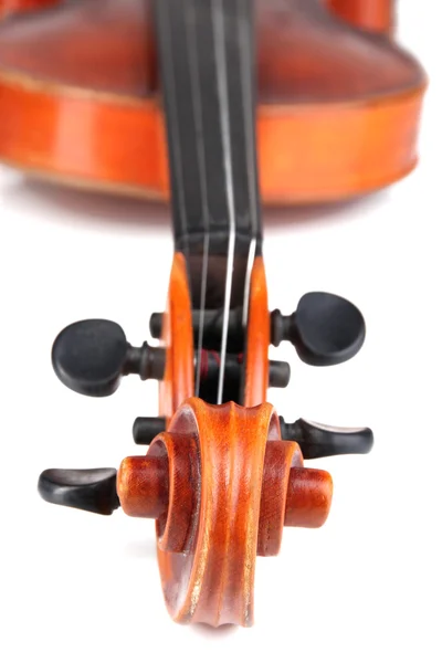 Classical violin close up — Stock Photo, Image