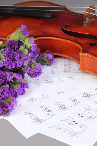 Violino classico sulle note — Foto Stock