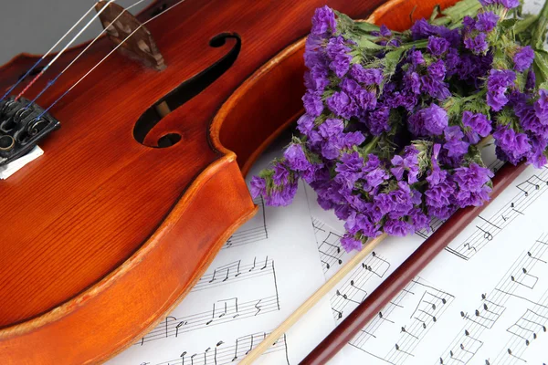 Classical violin on notes — Stock Photo, Image