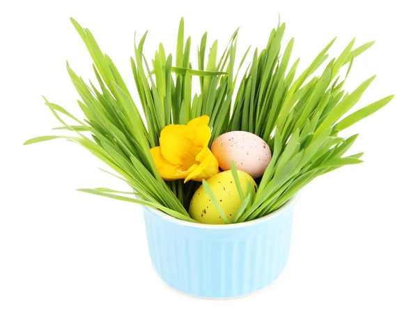 Easter egg in bowl with grass on table isolated on white — Stock Photo, Image