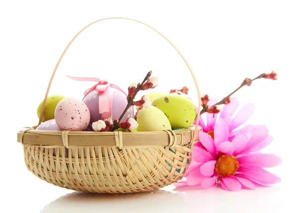 Belos ovos de páscoa e flor de damasco em cesta, isolado em branco — Fotografia de Stock