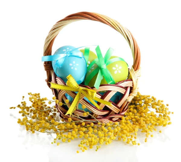 Huevos de Pascua en cesta y flores de mimosa, aislados en blanco — Foto de Stock