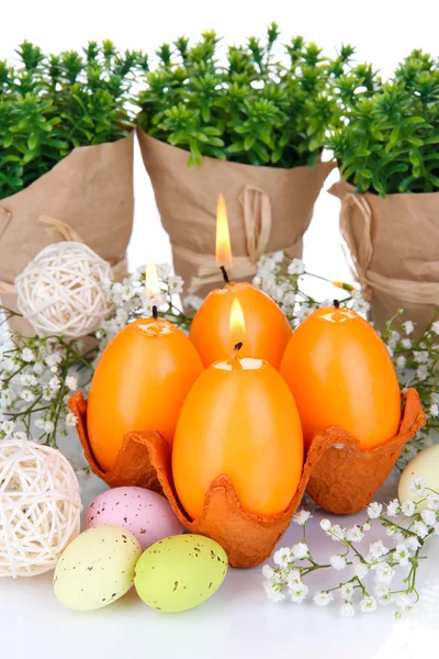 Bougies de Pâques avec fleurs close up — Photo