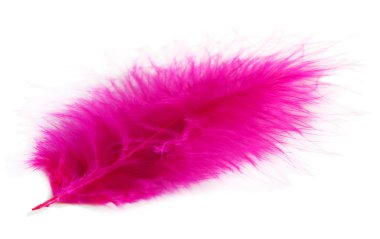 beyaz izole güzel dekoratif kuş tüyü