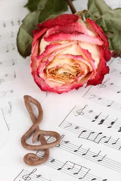 高音谱号和音乐背景上的玫瑰 — 图库照片