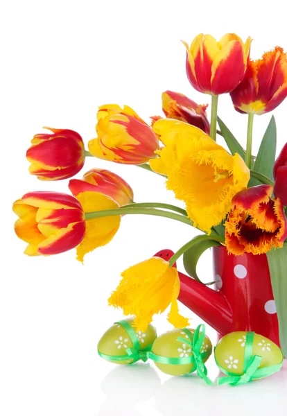 Easter composition with fresh tulips and easter eggs isolated on white — Stock Photo, Image