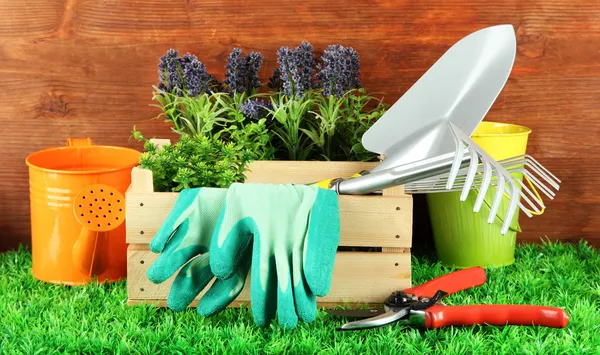 Tuingereedschap op gras in de tuin — Stockfoto