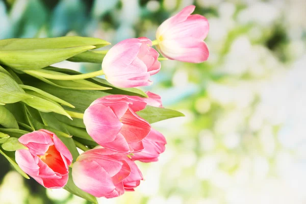 Pink tulips on bright background — Stock Photo, Image