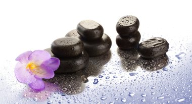 Spa taşlar ve üzerinde beyaz izole mor çiçek