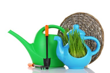 Dekoratif tencere üzerinde beyaz izole yeşil çim
