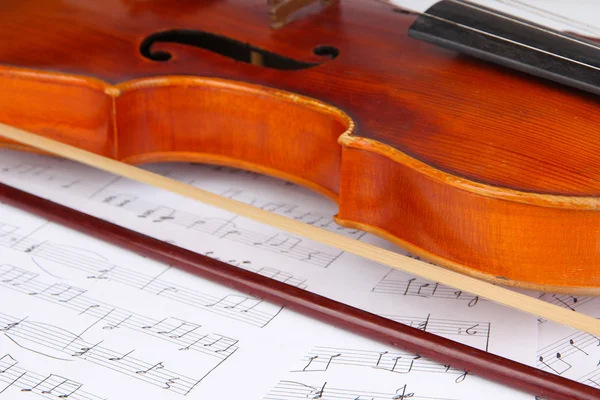 注意到关于古典小提琴 — 图库照片