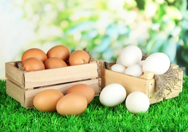 Many eggs in boxes on grass on bright background — Stock Photo, Image