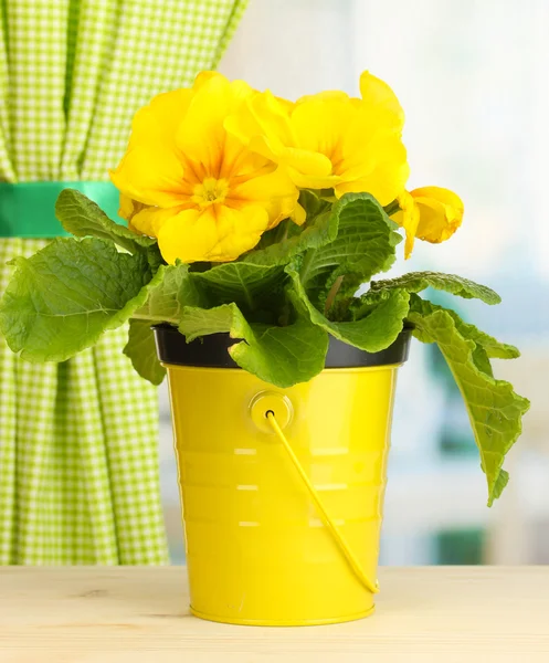 Schöne gelbe Primeln im Blumentopf auf Holzfensterbank — Stockfoto