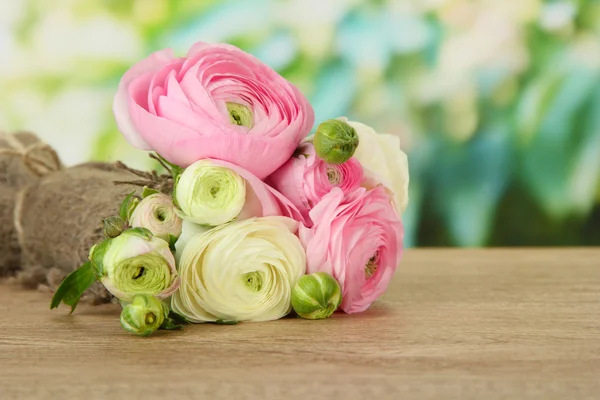 Ranunculus (buñuelos persas) sobre fondo verde — Foto de Stock