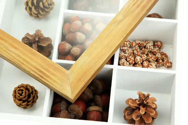 Assortiment de noix, châtaigniers, pommes de pin et glands dans une boîte en bois blanc — Photo