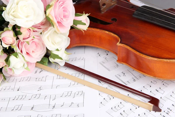 Classical violin on notes — Stock Photo, Image