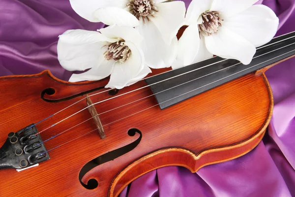 Violino classico su sfondo tessuto — Foto Stock