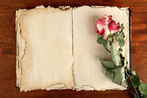 Open old book and rose on wooden background — Stock Photo, Image