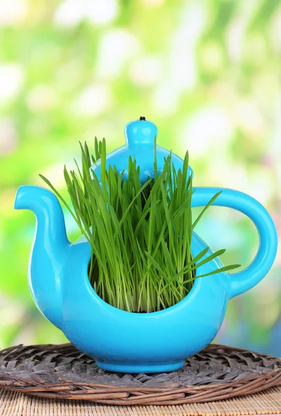 Erba verde in vaso decorativo su sfondo luminoso — Foto Stock