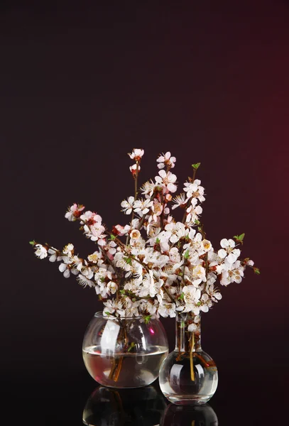 Hermosas ramas florecientes en jarrones sobre fondo brillante — Foto de Stock