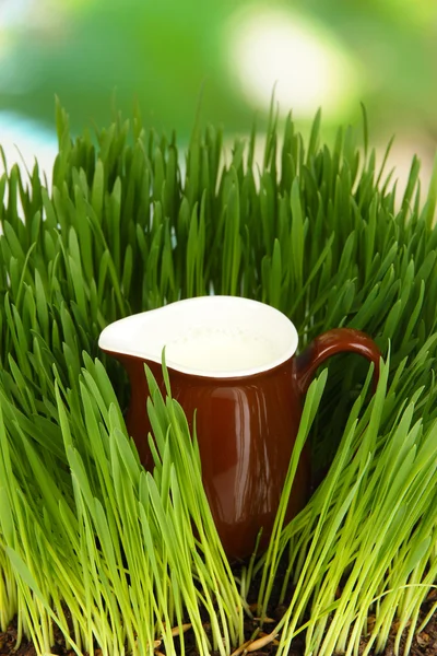 Pitcher of milk standing on grass close up — Stock Photo, Image
