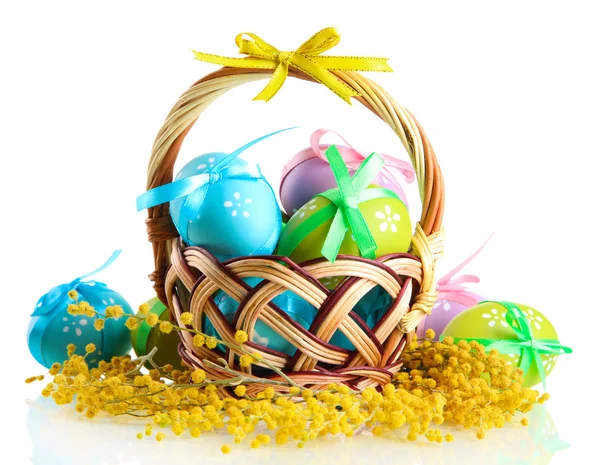 Uova di Pasqua in cesto e fiori di mimosa, isolate su bianco — Foto Stock