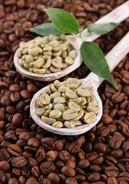 Grüne und braune Kaffeebohnen mit Blättern — Stockfoto