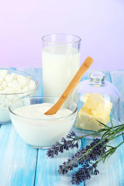 Glass of milk and cheese on light background