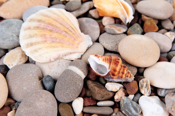 Sfondo di pietre marine — Foto Stock