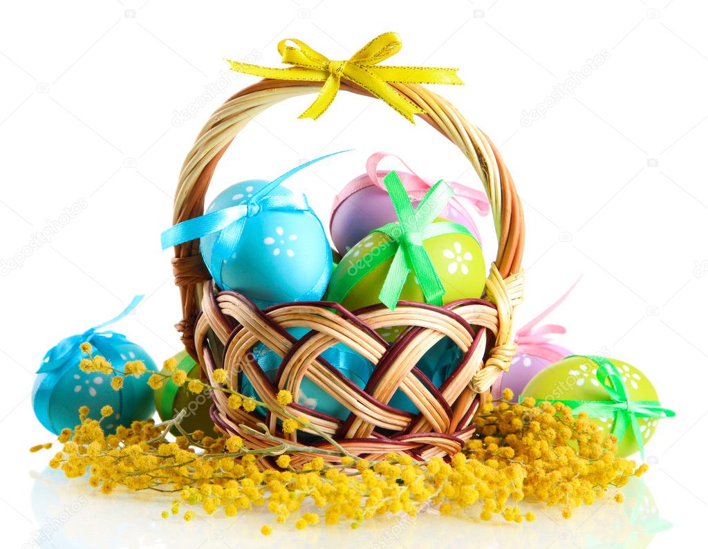 Easter eggs in basket and mimosa flowers, isolated on white