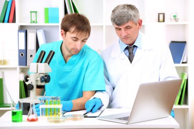 Doktor ve assayer araştırma sırasında