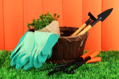 bahçede çimlerin üzerine Bahçe aletleri