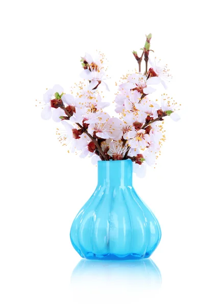 Beautiful blooming branches in vase isolated on white — Stock Photo, Image