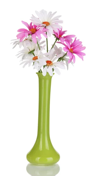 Piękne stokrotki w wazon kolorowy na białym tle — Zdjęcie stockowe