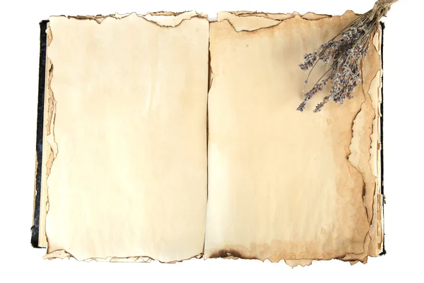 Öppna gammal bok och lavander — Stockfoto