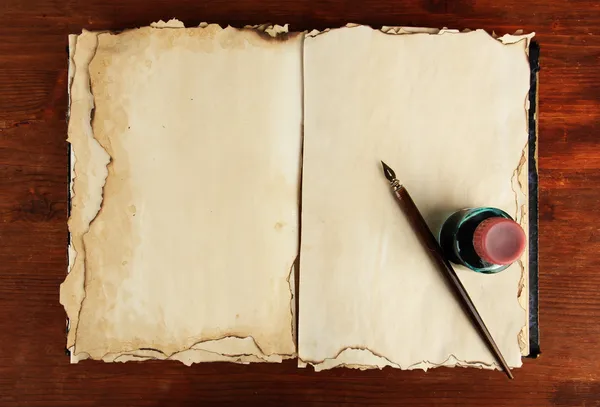 Abra a tinta velha do livro e a caneta da tinta — Fotografia de Stock